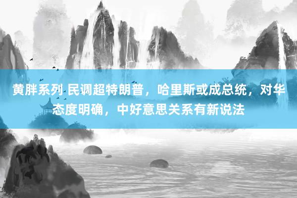 黄胖系列 民调超特朗普，哈里斯或成总统，对华态度明确，中好意思关系有新说法