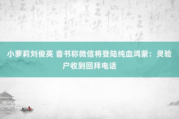 小萝莉刘俊英 音书称微信将登陆纯血鸿蒙：灵验户收到回拜电话