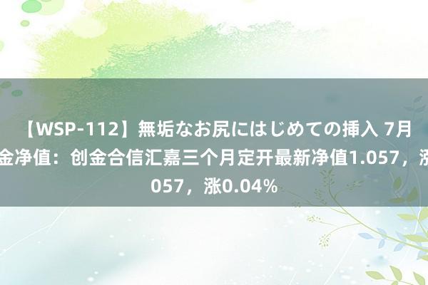 【WSP-112】無垢なお尻にはじめての挿入 7月26日基金净值：创金合信汇嘉三个月定开最新净值1.057，涨0.04%