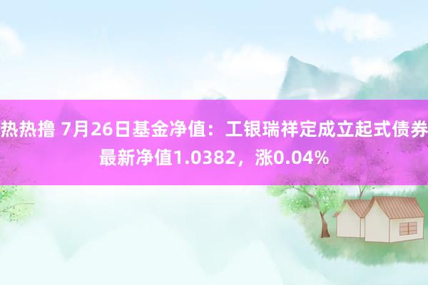 热热撸 7月26日基金净值：工银瑞祥定成立起式债券最新净值1.0382，涨0.04%