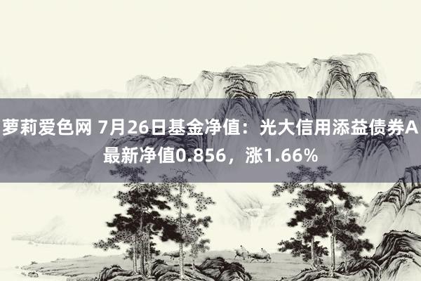 萝莉爱色网 7月26日基金净值：光大信用添益债券A最新净值0.856，涨1.66%