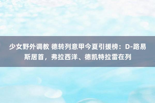 少女野外调教 德转列意甲今夏引援榜：D-路易斯居首，弗拉西洋、德凯特拉雷在列