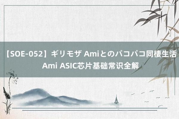 【SOE-052】ギリモザ Amiとのパコパコ同棲生活 Ami ASIC芯片基础常识全解