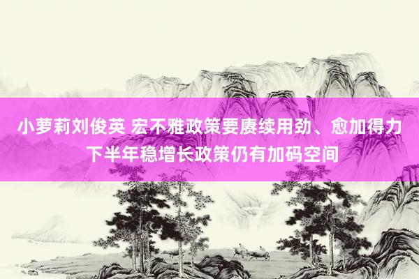 小萝莉刘俊英 宏不雅政策要赓续用劲、愈加得力 下半年稳增长政策仍有加码空间