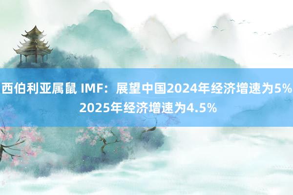 西伯利亚属鼠 IMF：展望中国2024年经济增速为5% 2025年经济增速为4.5%