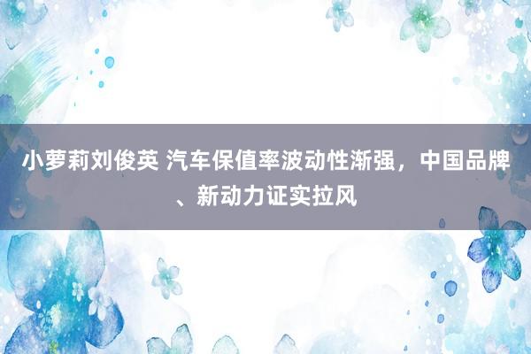 小萝莉刘俊英 汽车保值率波动性渐强，中国品牌、新动力证实拉风