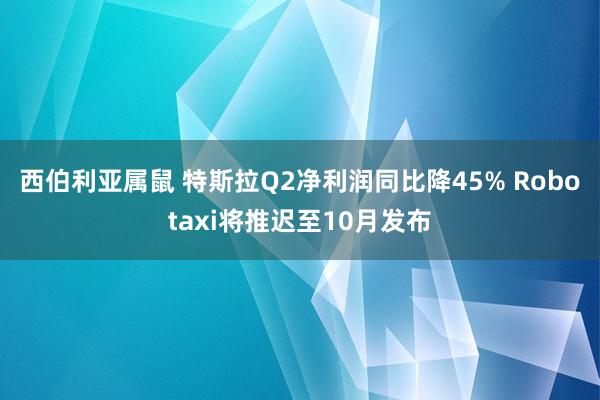 西伯利亚属鼠 特斯拉Q2净利润同比降45% Robotaxi将推迟至10月发布