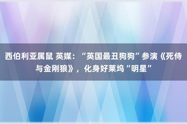 西伯利亚属鼠 英媒：“英国最丑狗狗”参演《死侍与金刚狼》，化身好莱坞“明星”