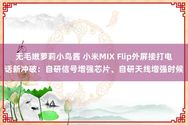 无毛嫩萝莉小鸟酱 小米MIX Flip外屏接打电话新冲破：自研信号增强芯片、自研天线增强时候