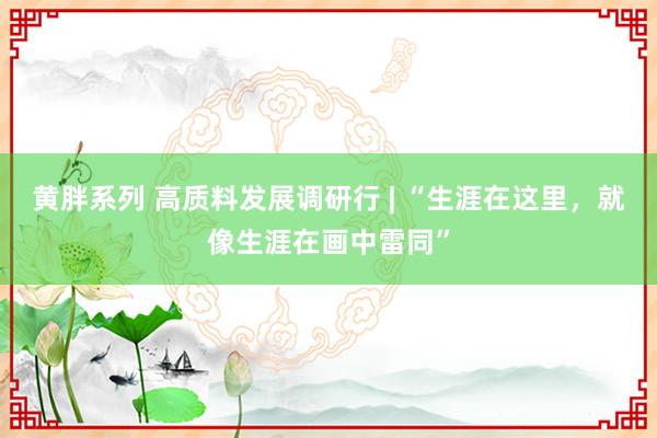 黄胖系列 高质料发展调研行 | “生涯在这里，就像生涯在画中雷同”