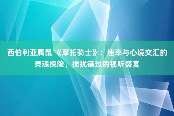 西伯利亚属鼠 《摩托骑士》：速率与心境交汇的灵魂探险，搅扰错过的视听盛宴