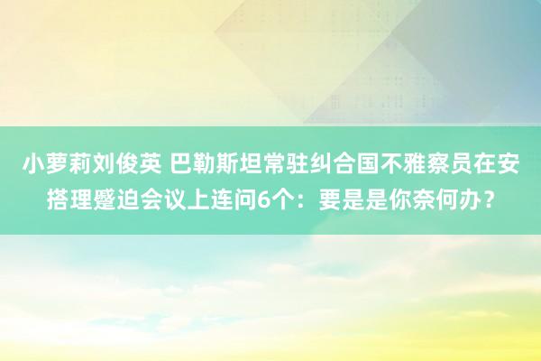 小萝莉刘俊英 巴勒斯坦常驻纠合国不雅察员在安搭理蹙迫会议上连问6个：要是是你奈何办？