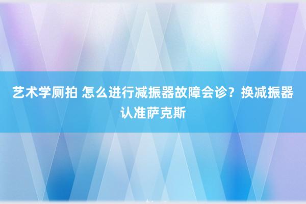 艺术学厕拍 怎么进行减振器故障会诊？换减振器认准萨克斯