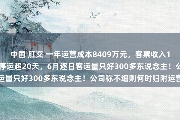 中国 肛交 一年运营成本8409万元，客票收入107.5万！红河有轨电车停运超20天，6月逐日客运量只好300多东说念主！公司称不细则何时归附运营