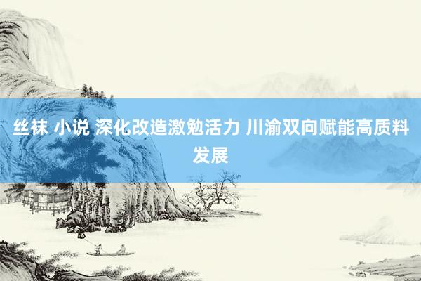 丝袜 小说 深化改造激勉活力 川渝双向赋能高质料发展