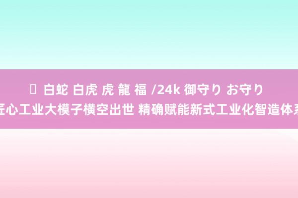 ✨白蛇 白虎 虎 龍 福 /24k 御守り お守り 匠心工业大模子横空出世 精确赋能新式工业化智造体系