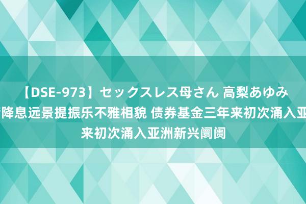 【DSE-973】セックスレス母さん 高梨あゆみ 好意思联储降息远景提振乐不雅相貌 债券基金三年来初次涌入亚洲新兴阛阓