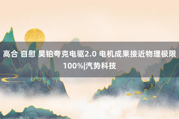 高合 自慰 昊铂夸克电驱2.0 电机成果接近物理极限100%|汽势科技