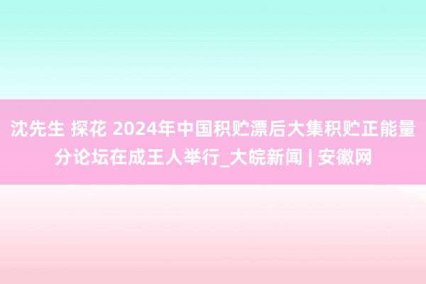 沈先生 探花 2024年中国积贮漂后大集积贮正能量分论坛在成王人举行_大皖新闻 | 安徽网