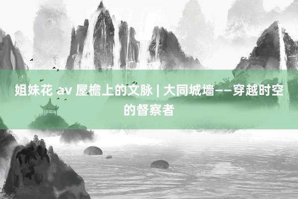 姐妹花 av 屋檐上的文脉 | 大同城墙——穿越时空的督察者