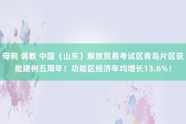 母狗 调教 中国（山东）解放贸易考试区青岛片区获批建树五周年！功能区经济年均增长13.6%！