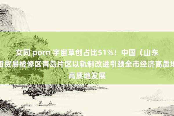 女同 porn 宇宙草创占比51%！中国（山东）目田贸易检修区青岛片区以轨制改进引颈全市经济高质地发展