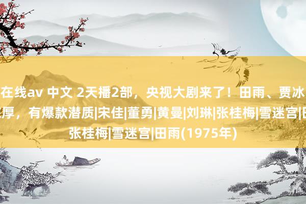 在线av 中文 2天播2部，央视大剧来了！田雨、贾冰领衔，声势深厚，有爆款潜质|宋佳|董勇|黄曼|刘琳|张桂梅|雪迷宫|田雨(1975年)