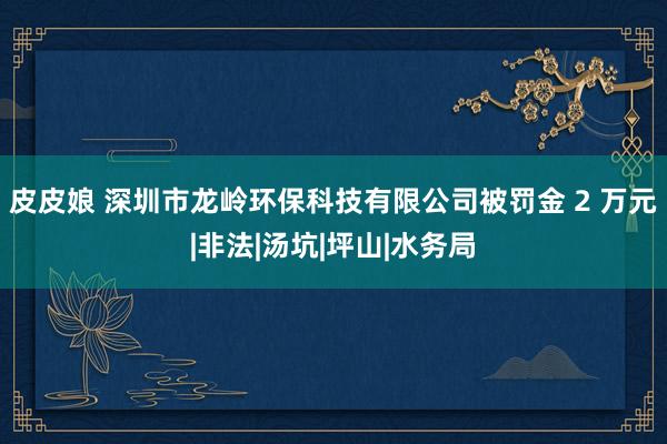 皮皮娘 深圳市龙岭环保科技有限公司被罚金 2 万元|非法|汤坑|坪山|水务局